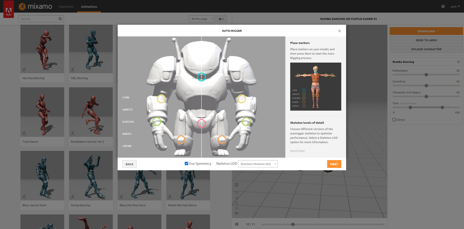 Step 2: Auto-Rigging Process